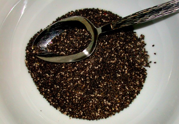 4177919755_5be60d726f_o