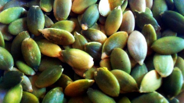 5712491235_a2f59c9359_b