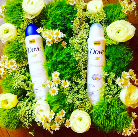 Screen Shot 2016-01-15 at 10.42.58 AM